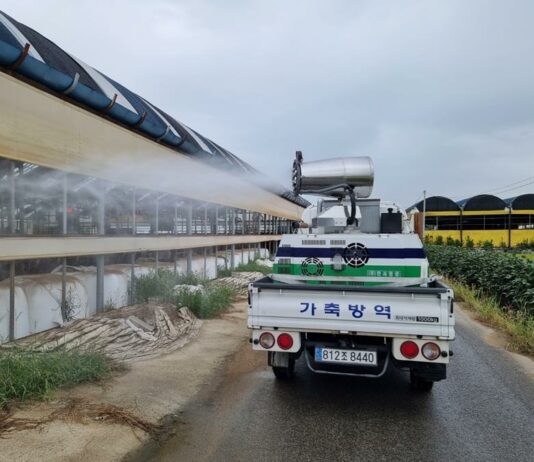 경기도, 아프리카돼지열병·럼피스킨 발생에 차단방역 총력