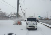 경기도, 양주 아프리카돼지열병(ASF) 발생. 추가확산방지 총력