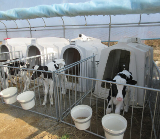 경기도, ‘가축행복농장 인증제’ 2025년 신규 신청 접수