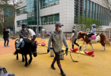 경기도 어린이 말 체험, 3월부터 시작됩니다. 전액 무료