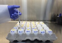 경기도, 도내 전역에 저병원성조류인플루엔자(LPAI) 발생주의보 발령