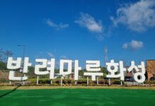 반려마루 화성 개관 1주년, 반려동물 입양·교육·휴식공간 다 잡았다. 경기 서부권 대표 반려동물 문화공간 자리매김