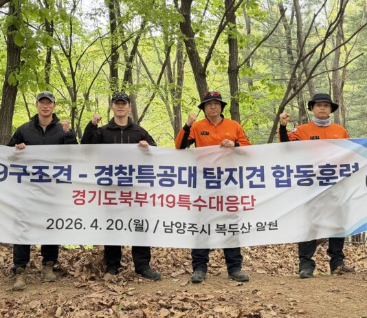 “실종자 수색 최후의 카드” 119구조견·경찰특공대 탐지견, 남양주 복두산서 실전 합동훈련